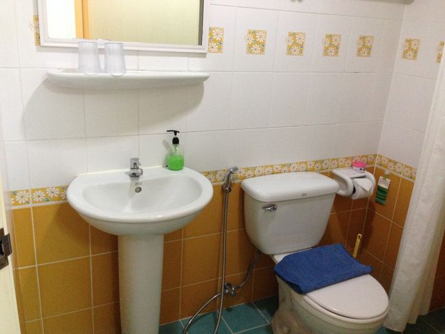 シャワー室には<br />前泊まった人の髪の毛などゴミがあった<br /><br />掃除がいまひとつ<br />