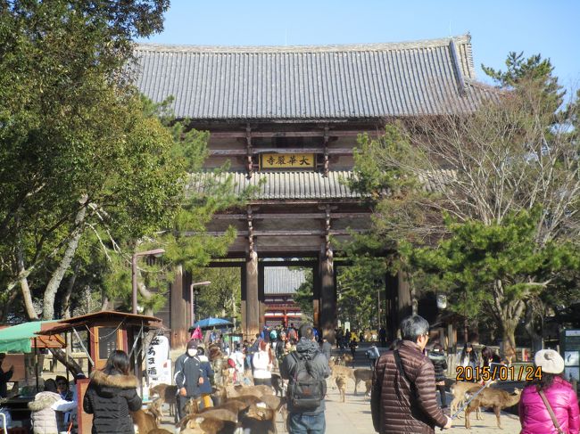 外国人観光客でにぎわっています。