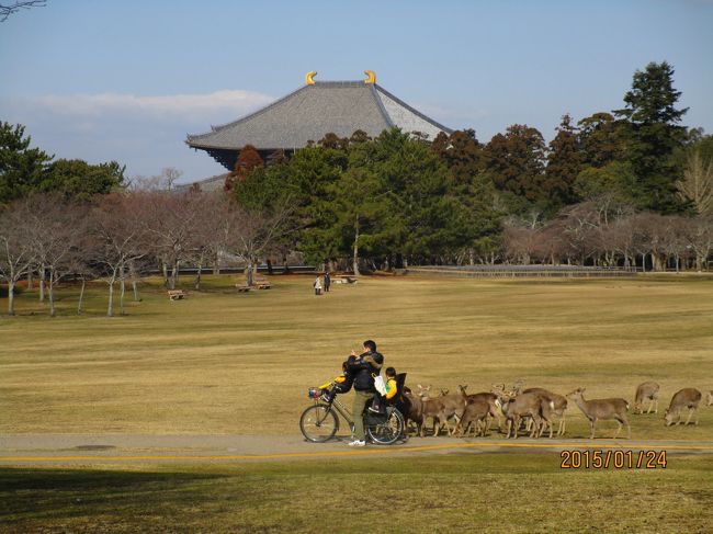 しかとたわむれて．．．<br />実は自転車に乗った親子が、鹿の群れに追われている図。