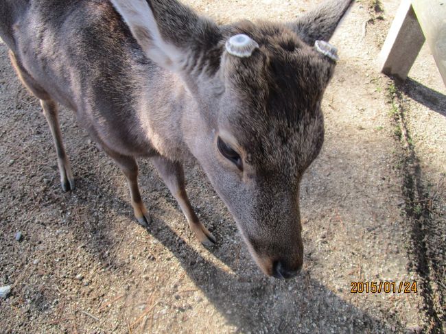 ごめんなさい。