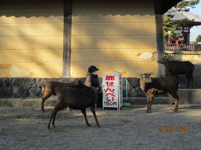 朝礼、点呼。ミーティング。<br />今日のノルマは...