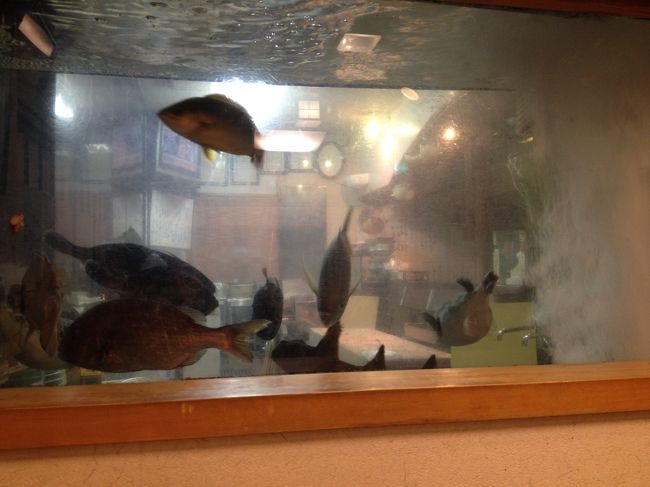 すぐ横で色んな魚が見えました。