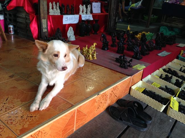 店番してるワンちゃん