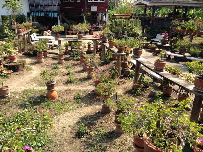 民家の庭をぬって<br />快適サイクリング<br /><br />皆さんきれいにガーデニングなさってる<br /><br />風が気持ち良い<br /><br />暑い時期はちょっと<br />きついかもだが