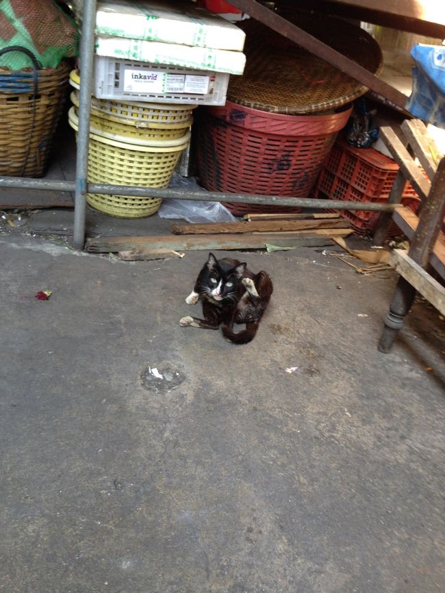 切手購入後<br />道の反対側から1番バスでサパーンタクシン駅まで行き<br />ＢＴＳでバンジャーク駅まで移動<br /><br />毎回のことだが<br />ジムトンプソンアウトレットを目指す<br /><br />バンジャーク市場にて