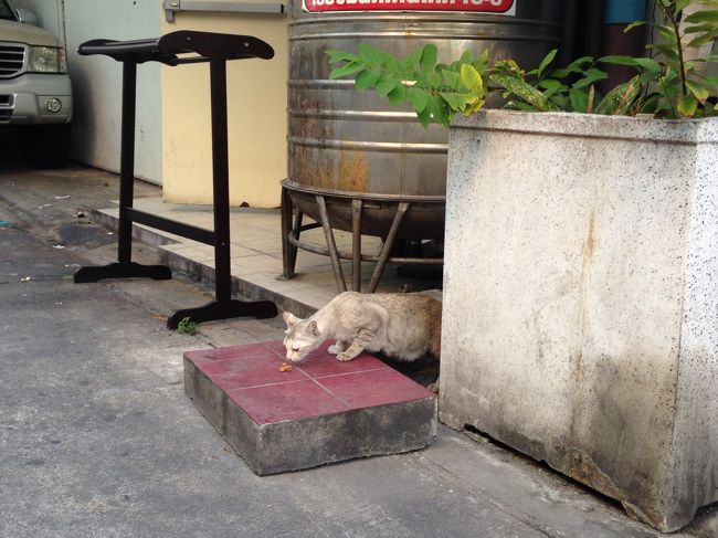 食べてる食べてる
