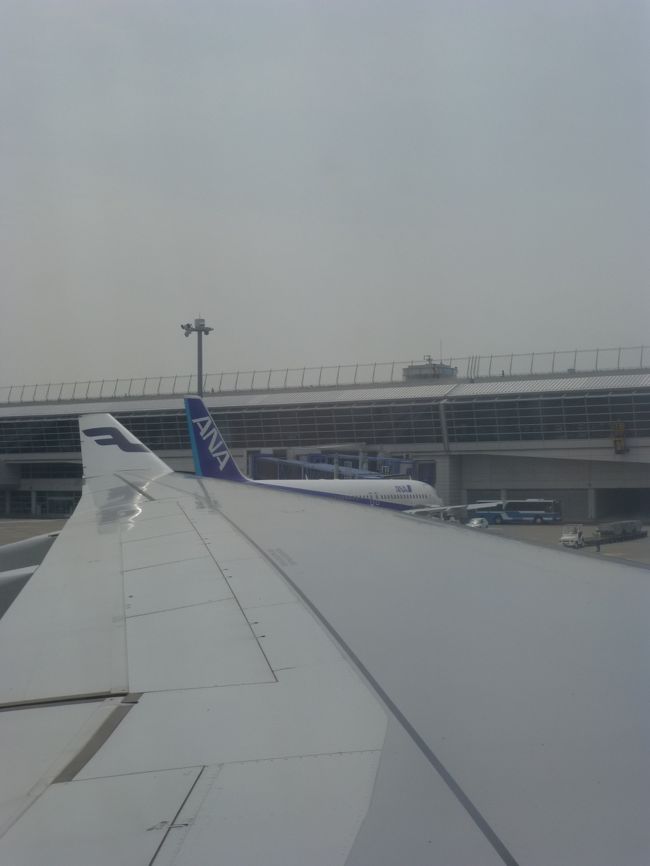 1か月の一時帰国を満喫して、フィンエアーのヘルシンキ経由でハンガリーに戻ります。<br /><br />奥にはANAの機体が見えます。