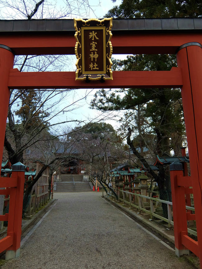 枝垂れ桜の美しい<br /><br />　　　氷室神社、、