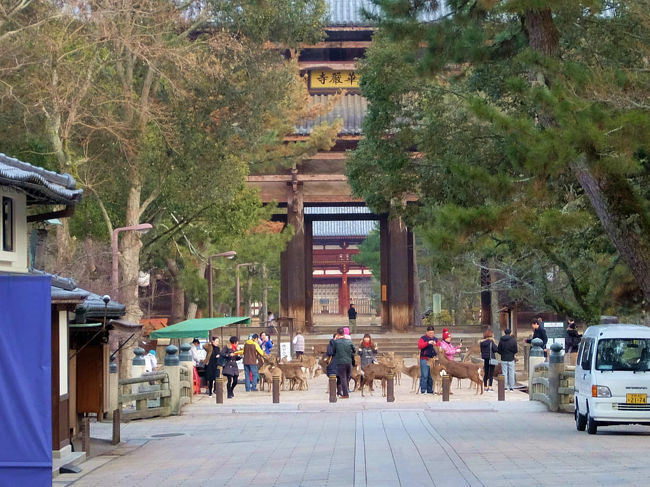 楽しそうな観光客の団体さん<br /><br />　　　もう　東大寺へ、、<br /><br />　　東大寺さん大仏殿は朝８時から開門です