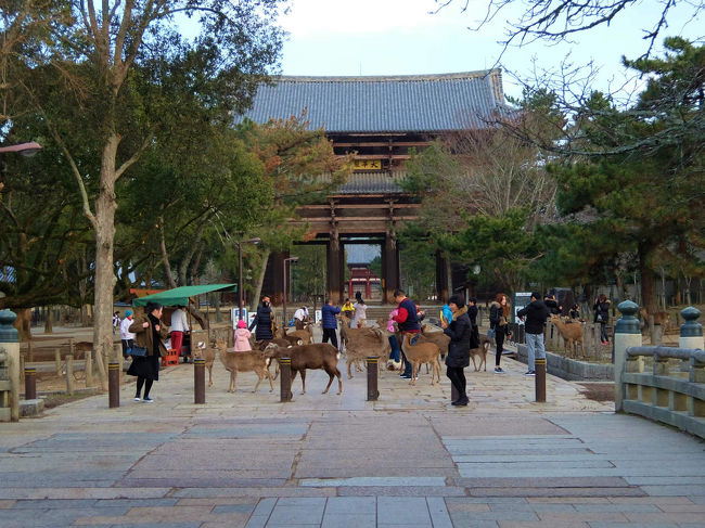 言葉で中国の方々と知れる。。<br /><br />　早いですね、、