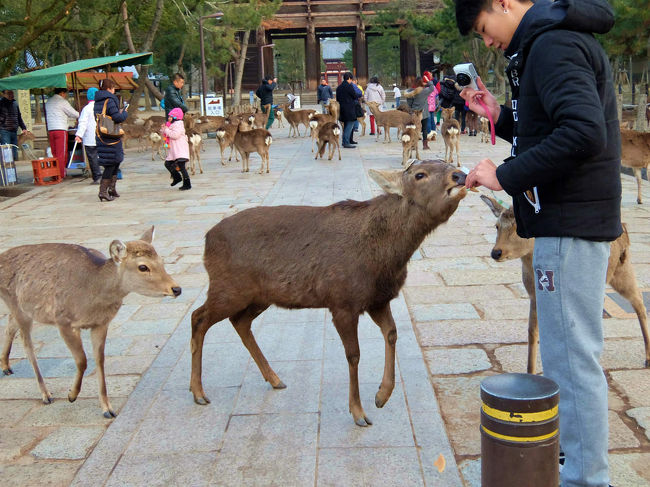 もう　たのしくて　たのしくて<br /><br />　　見ていても嬉しくなるほど。