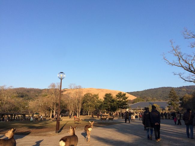 明るいうちに山焼きをどこで見ようかと、ロケハンを。ここは東大寺南大門の側の新公会堂あたり。
