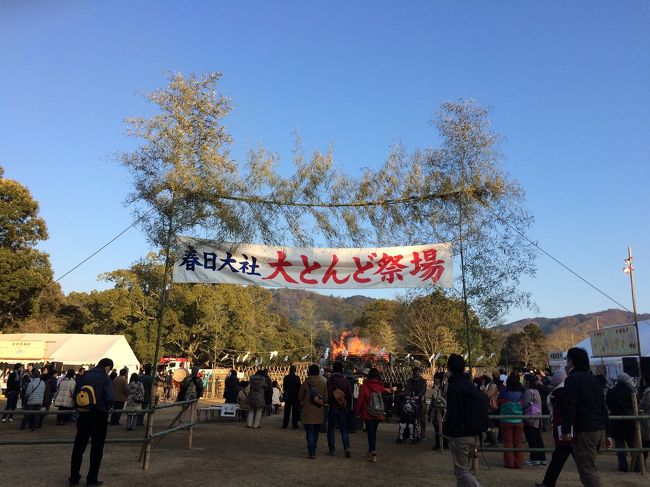 春日大社の飛火野へ下見に行く途中、大とんど祭りなるものを発見。<br />