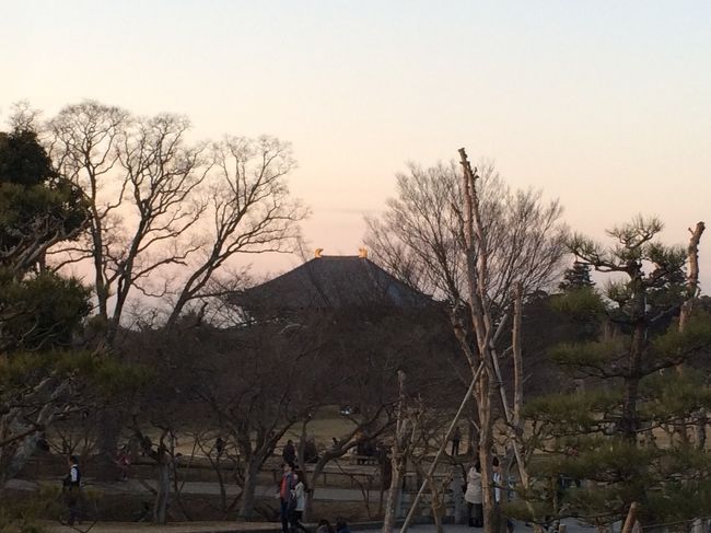 だんだんと日が暮れてきました。