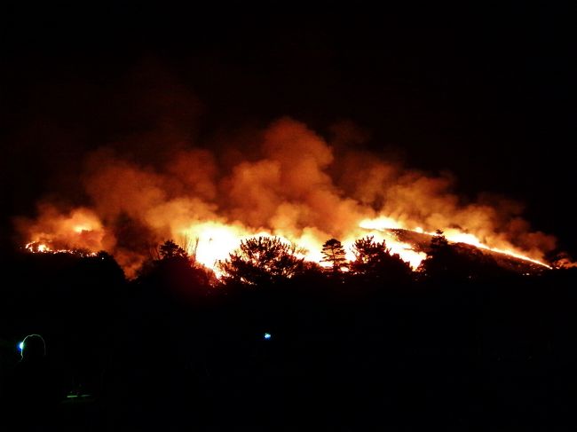 今年も一斉に点火してフィナーレを迎えます。<br />目の前に見る山焼きは圧巻の一言です。