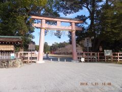 3日目最初は上賀茂神社。
(正式名称は加茂別雷神社です)

バス乗り場で迷い、さらに乗るバスを間違えたらしく、ぐるぐる遠回りして1時間以上かけて到着。
