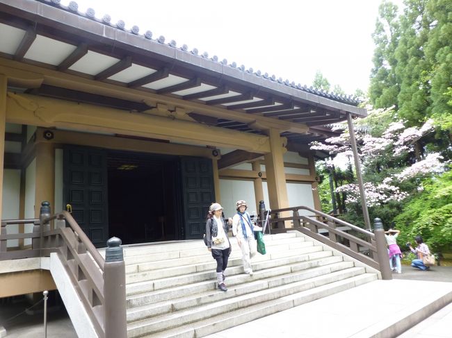 広隆寺　霊宝殿<br /><br />こちらに国宝の弥勒菩薩半跏像が安置されています。<br />もちろん撮影禁止で写真なし。パンフレットの写真を撮ろうと思ったのに、なくしてしまいました。