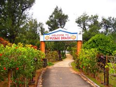 フサキビーチへ