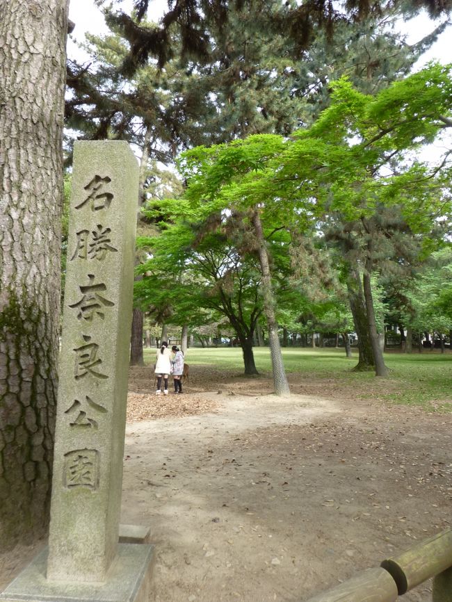 奈良公園
