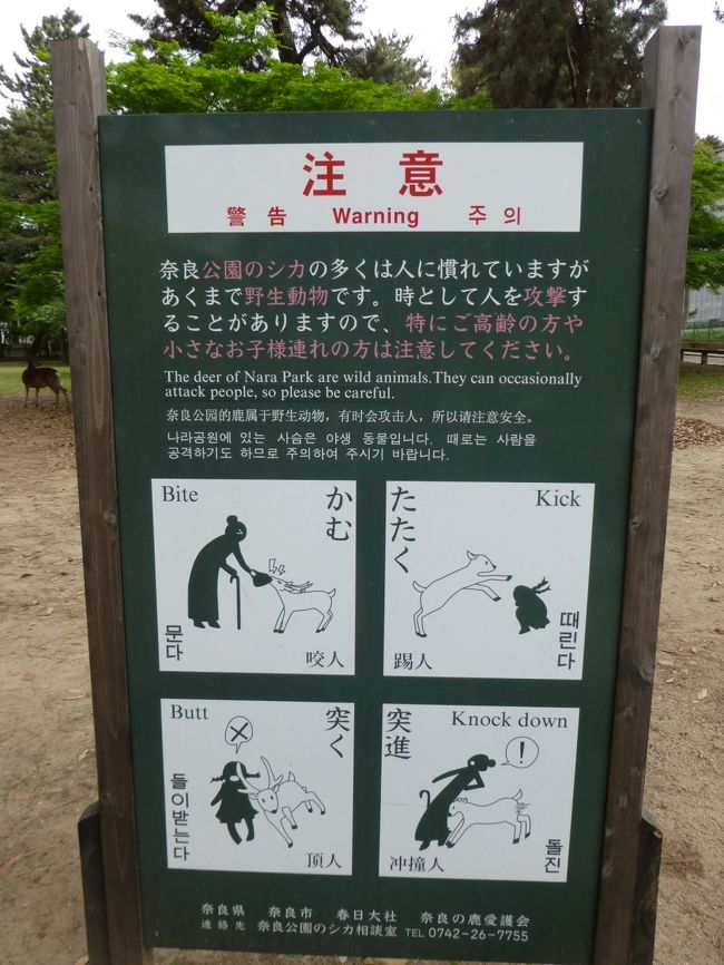 奈良公園の注意書きの絵がなんだかかわいい。鹿さんは、相当強そうだけど・・・。