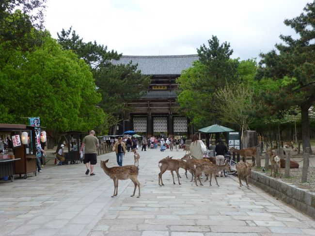 先に、大仏を見に東大寺にも行ってきます。修学旅行のようなコース。