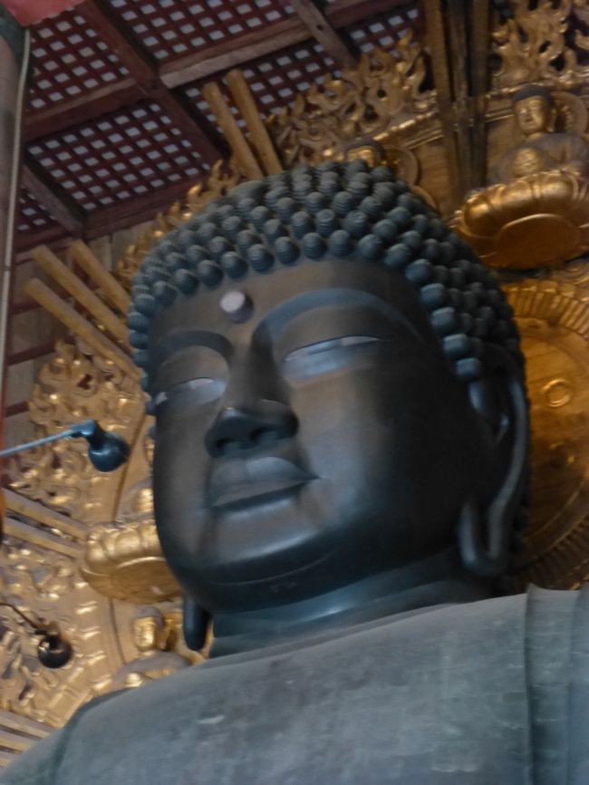 東大寺大仏殿