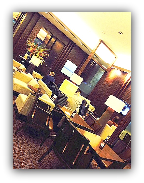 【フランクフルト国際空港にてトランジット：サンパウローフランクー成田】<br /><br />ＪＡＬではなく、ワンワールドの外人客で一杯です。でも冬のヨーロッパ。皆様、冬支度を着こなしており、如何にもお金持ち.....の雰囲気を漂わせる外人で一杯です....。<br /><br /><br />※写真は、客が一斉に退いた時を狙ってショット。