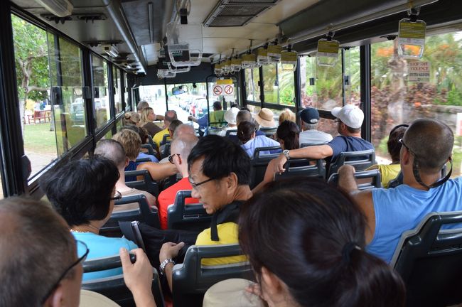 翌日もまた、バスでピンクサンドビーチへ。<br />何度かバスに乗りましたが、運転手さんは、一度を除いて全て女性でした。<br />狭い道を、片手運転で、ビュンビュン飛ばしていきます。