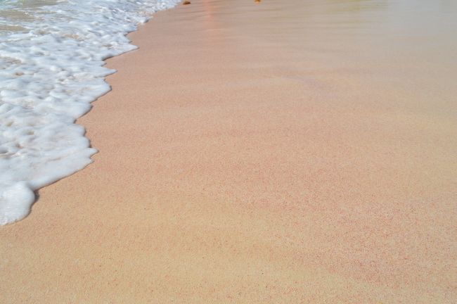 波打ち際が、最もピンクっぽい。