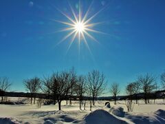 腹ごしらえの後は、待望のタンチョウを観にいきました。この日は雲一つない100％の晴天でした。