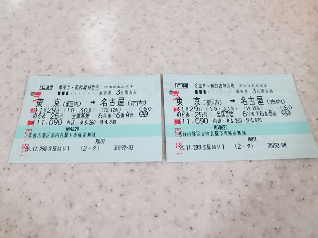 こちらの列車で移動します。