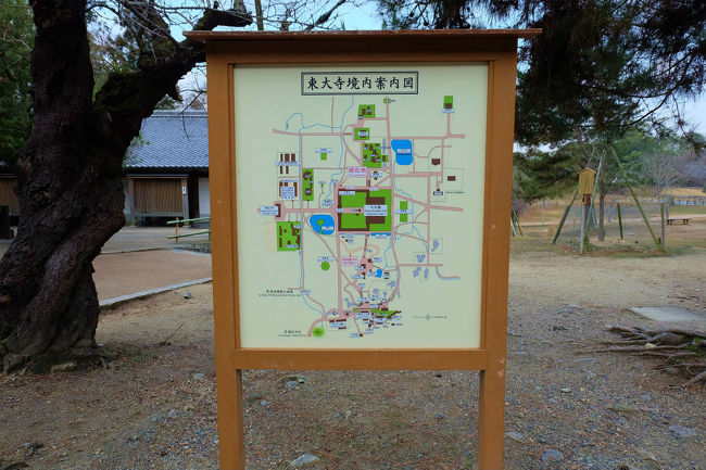 奈良の朝　遅い。。もう９時は過ぎました。