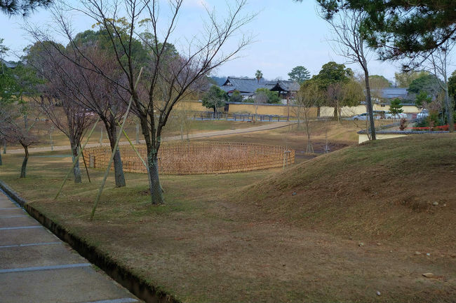 観光客はまでこの辺りには見かけません<br /><br />　と　言っても　普段でも人影の少ない<br /><br />　　戒壇堂　付近。