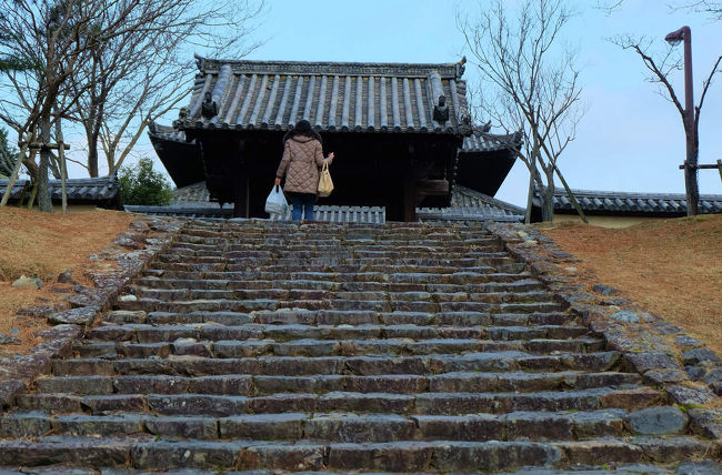 如何でしょう<br /><br />　この景色も<br /><br />　　