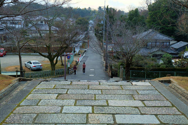 此処から見下ろすのも好きな景色<br /><br />　　階段を降り　依水園への　路地を歩くのが何時ものコースですが<br /><br />　　　今朝は　講堂跡に向かいます。