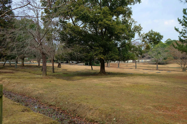 　瓦欠け　落ちていました<br /><br />　　厚み　文様　上薬から江戸以前の物と見られます。