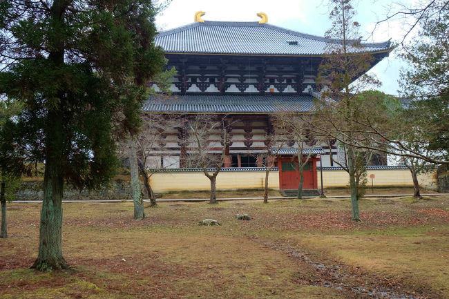 大仏殿の後姿。