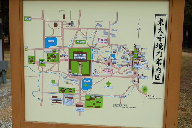 此処に居ます。