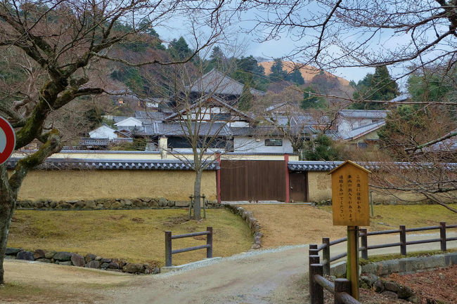 若草山　二月堂　が　見えてきました。