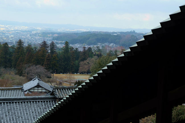 上り廊　先に見える景色