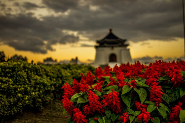 これは夕日が出てた時に撮った一枚<br />お花が綺麗に植えられてて、とても鮮やかで美しいお花だったので<br /><br />夕日と雲の感じも良く<br />そびえ立つ中世記念堂と相まって自分ながら素晴らしい一枚になったと思います(´Д` )