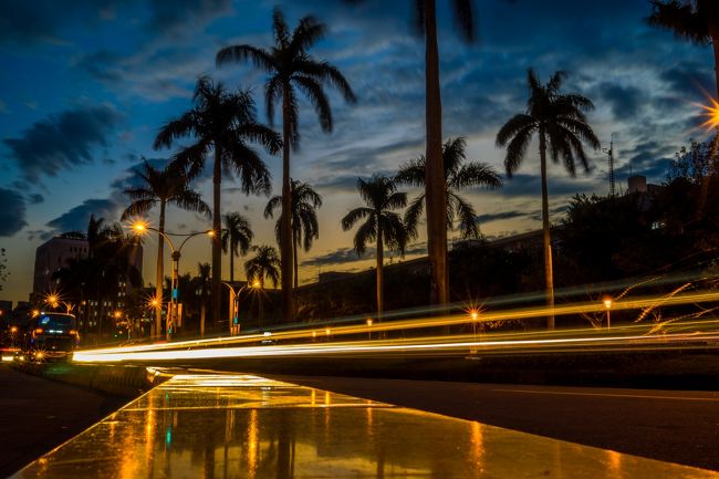 台湾旅ベストな一枚(・∀・)<br /><br />まさに南国見たいな一枚<br />ヤシの木?のシルエットが美しく空の表情も微かに残る夕日<br /><br />感動しました！