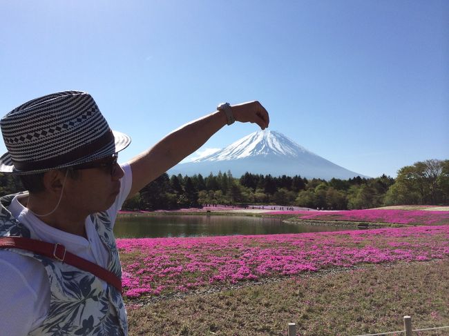 吊り上げてみた