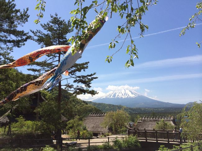 たなびく鯉のぼり越しの富士山