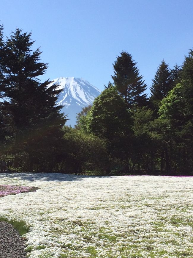 何処からでも富士山が見える