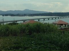 古宇利島から見た古宇利大橋。
あっという間に雲が広がり…
どんよりしてきました（´・ω・`）

でも綺麗な海を堪能出来て良かった！
