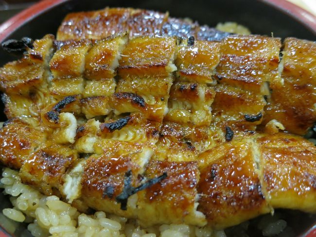 キラキラしているぅ☆