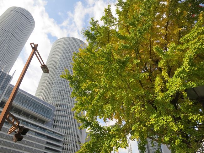 てくてく歩いてみます♪<br />黄葉が綺麗です！！