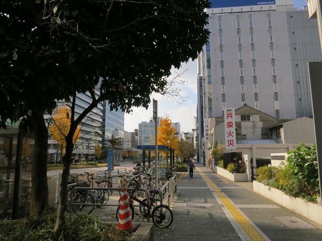 角度によって銀杏の色が違ってくるのが面白い。