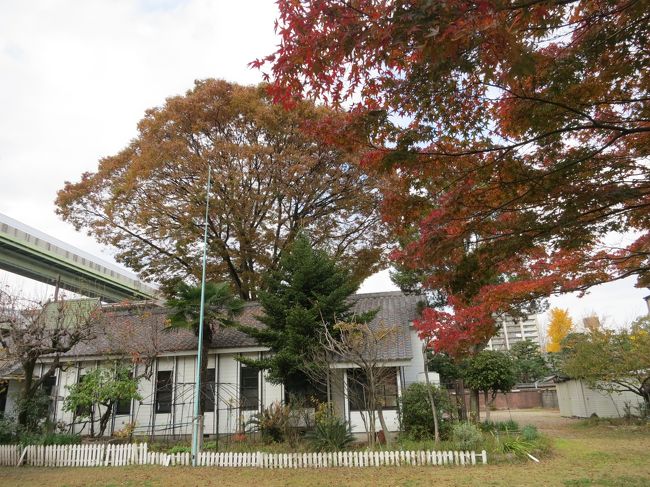 もう少し晴れているともっと良かったのですが♪